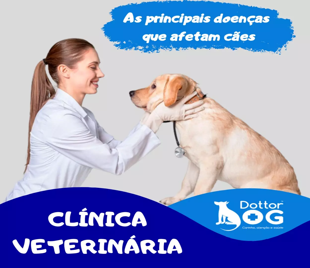 CONHEÇA AS PRINCIPAIS DOENÇAS EM CACHORROS E SAIBA COMO PREVENÍ-LAS !